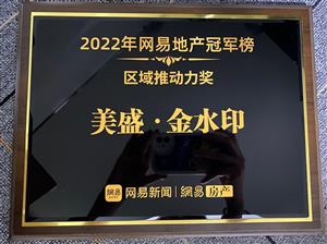 2022年网易地产冠军榜 区域推动力奖 美盛金水印